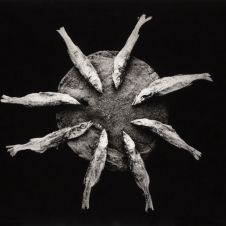 Fotografía de Juan Coronel Rivera