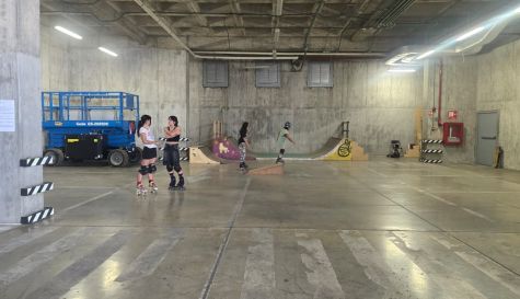 Skaters