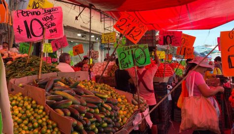 Canasta básica