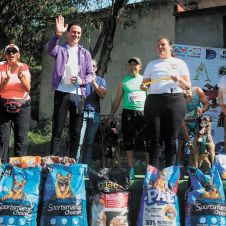 6º PERROTON