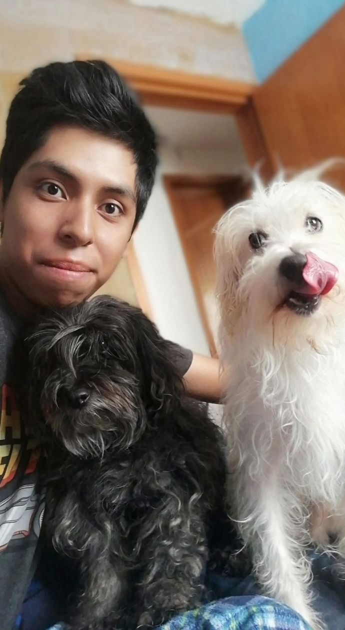 dia del perro 3