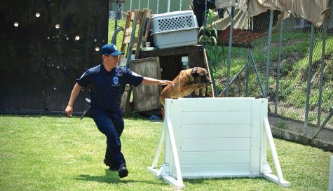PERROS POLICIALES