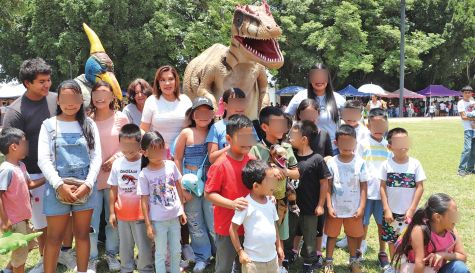 VERANO DINO