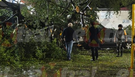 Tormenta nocturna en Cuautla derriba árboles y destruye barda