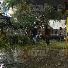 Tormenta nocturna en Cuautla derriba árboles y destruye barda