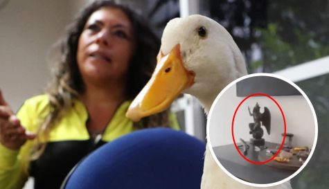 Dueña del Pato Merlín causa polémica por altar a Baphomet
