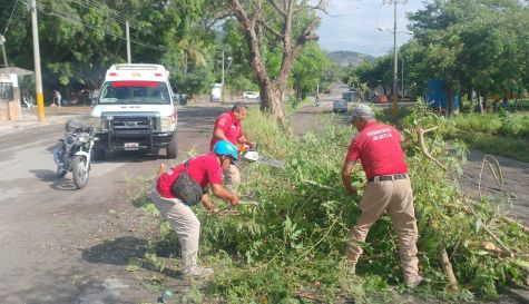 Las brigadas de auxilio laboraron de forma continua para despejar las vialidades afectadas por el temporal en la zona sur.