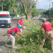 Las brigadas de auxilio laboraron de forma continua para despejar las vialidades afectadas por el temporal en la zona sur. Las brigadas de auxilio laboraron de forma continua para despejar las vialidades afectadas por el temporal en la zona sur.