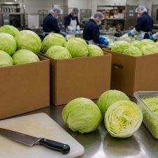 Brote de ciclosporiasis deja dos muertos: Síntomas y alimentos