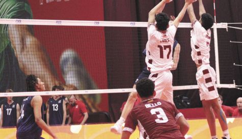 VOLEI­BOL