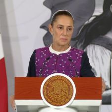 Jornada Nacional de Reforestación en Morelos: Fecha y detalles