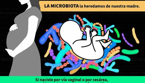 Obesidad estudios