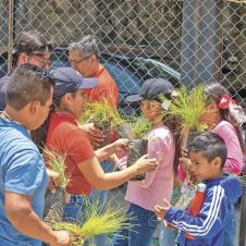 Niños de Totolapan participan en jornada de reforestación en cursos de verano
