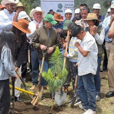 Reforestación en Morelos: Sembrarán un millón de árboles