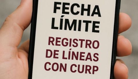 Registro linea CURP