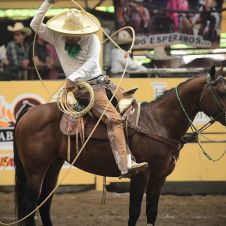 Dominio y elegancia a caballo: la maestría de la charrería en un solo movimiento.