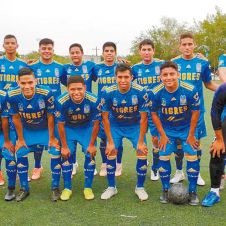 tigres-futbol.jpg