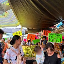 Precios del pollo y maíz pozolero suben en Cuernavaca: Canasta básica