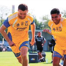 Tigres busca delantero; Vucetich revela opciones para reforzarse