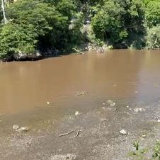 Localizan a adulto mayor sin vida en un río de Tehuixtla Localizan a adulto mayor sin vida en un río de Tehuixtla