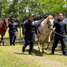Equinoterapia gratuita en Morelos: Policía Montada apoya a niños