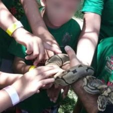 DIF Jojutla acerca a niños al cuidado de la flora y fauna DIF Jojutla acerca a niños al cuidado de la flora y fauna