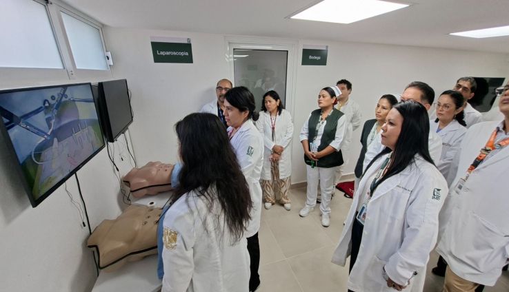 IMSS IMSS
