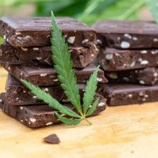 Alimentos con cannabis son legales solo con permiso de Cofepris: SCJN