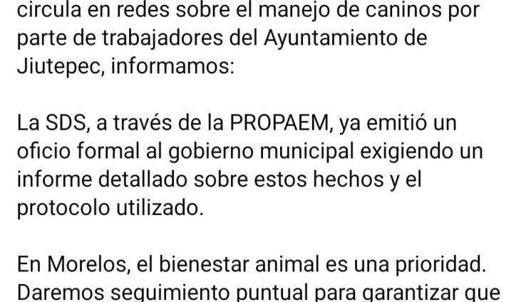 Perros retirados en Civac Jiutepec Perros retirados en Civac Jiutepec