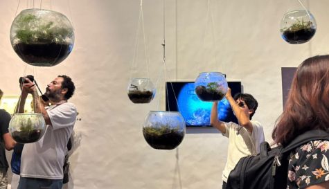 Terrarios en exposición en el Borda