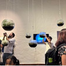 Terrarios en exposición en el Borda Terrarios en exposición en el Borda