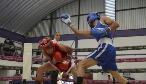 Celebran emocionante jornada de la Liga de Campeones de Boxeo en Cuernavaca