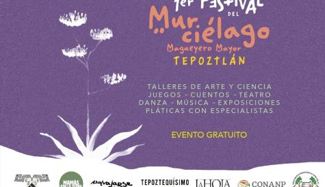 Anuncian Festival del Murciélago Magueyero Mayor en Tepoztlán