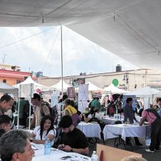 Ofertan 423 Vacantes en Feria del Empleo en Yecapixtla