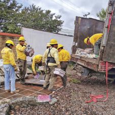 Recolectan toneladas de papel en Tepoztlán con el Papelotón 2026 Recolectan toneladas de papel en Tepoztlán con el Papelotón 2026