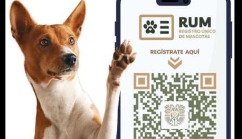 Registro de Mascotas