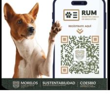 Registro de Mascotas Registro de Mascotas