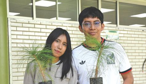 Upemor entrega 250 árboles nativos en su jornada anual de reforestación
