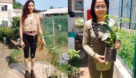 Entregar más de 350 árboles en campaña de reforestación en Tepoztlán