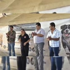 Esterilizan a más de 150 perros y gatos en Coatetelco