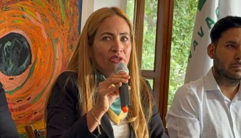 Ley Inmobiliaria
