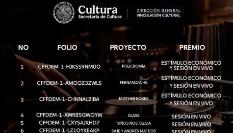 Apoyos culturales