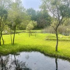 Crisis de agua potable en Jiutepec y Yautepec por sequía en El Texcal