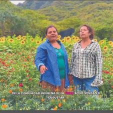 Campos de Cempasúchil en Puente de Ixtla: fechas y reservaciones