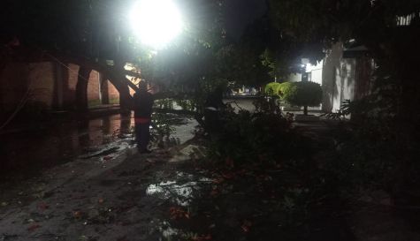 Lluvia y viento derriban enorme rama y bloquean calle en Cuautla