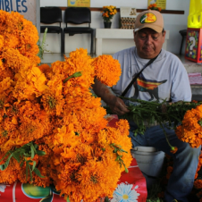 Día de Muertos en Ocotepec: así serán los rituales de octubre y noviembre