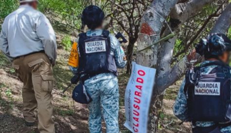Inspectores de la Procuraduría Federal de Protección al Ambiente (Profepa) detuvieron la extracción ilegal de resina de copal