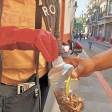 Congreso de Morelos aprueba contenedores obligatorios para colillas de cigarro