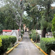 Preparan el panteón de La Leona en Cuernavaca Preparan el panteón de La Leona en Cuernavaca