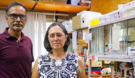 El sarampión volvió a encender las alarmas de salud pública en la entidad